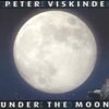under the moon - picture